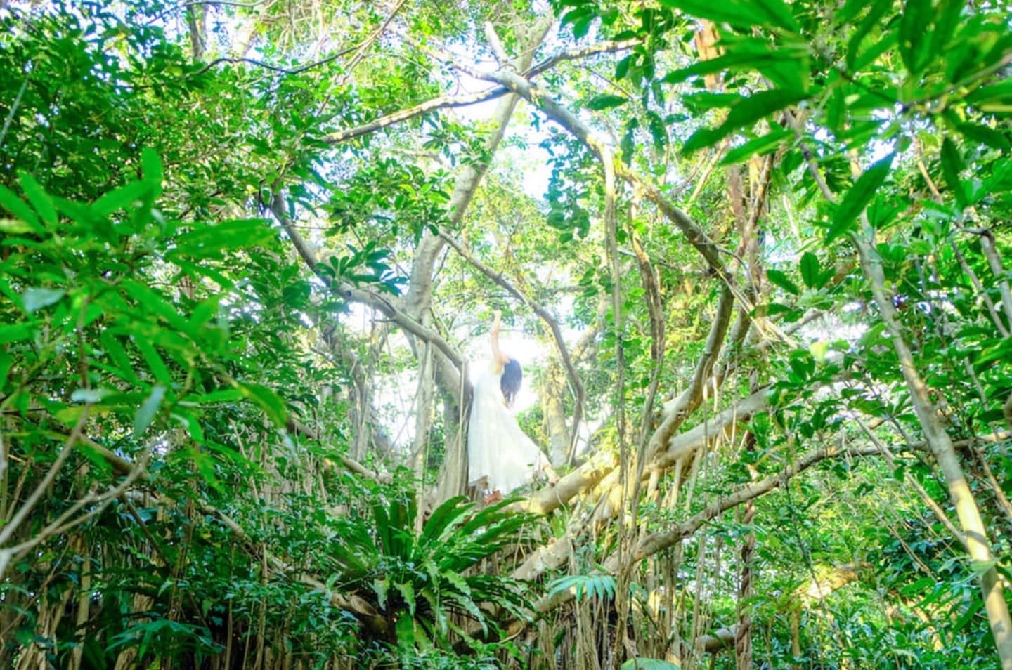 支配から共生へ